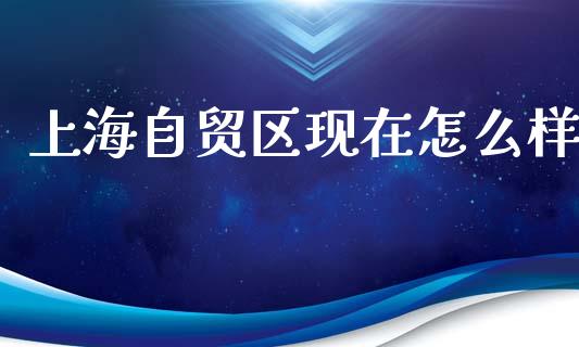 上海自贸区现在怎么样_https://m.lcpcjs.com_白银期货保证金_第1张