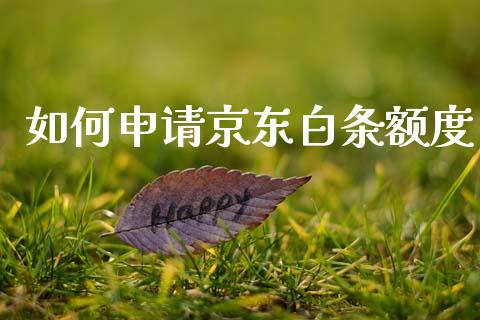 如何申请京东白条额度_https://m.lcpcjs.com_期货交易_第1张