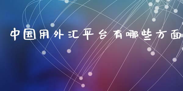 中国用外汇平台有哪些方面_https://m.lcpcjs.com_恒指期货保证金_第1张