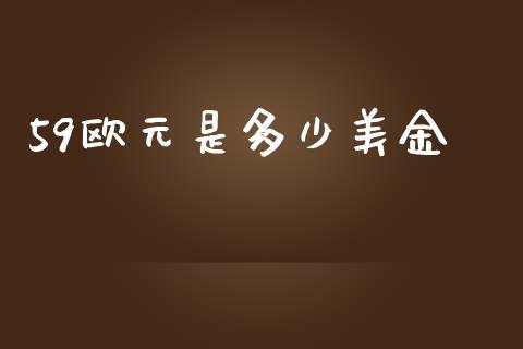 59欧元是多少美金_https://m.lcpcjs.com_期货交易_第1张