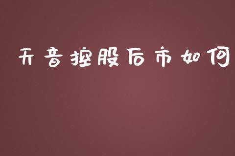天音控股后市如何_https://m.lcpcjs.com_期货交易_第1张