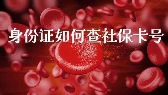 身份证如何查社保卡号_https://m.lcpcjs.com_恒指期货保证金_第1张