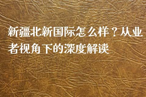 新疆北新国际怎么样？从业者视角下的深度解读_https://m.lcpcjs.com_期货交易_第1张