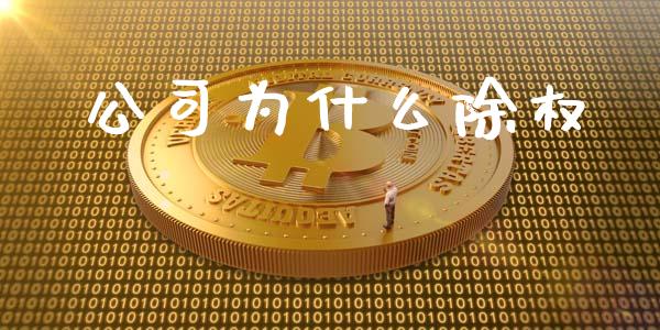 公司为什么除权_https://m.lcpcjs.com_恒指期货保证金_第1张