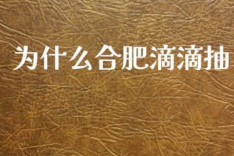 为什么合肥滴滴抽_https://m.lcpcjs.com_恒指期货保证金_第1张