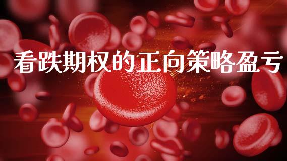 看跌期权的正向策略盈亏_https://m.lcpcjs.com_白银期货保证金_第1张