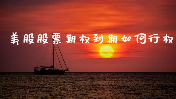 美股股票期权到期如何行权_https://m.lcpcjs.com_期货交易时间_第1张
