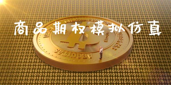 商品期权模拟仿真_https://m.lcpcjs.com_期货交易时间_第1张