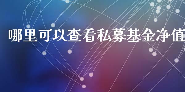 哪里可以查看私募基金净值_https://m.lcpcjs.com_恒指期货保证金_第1张