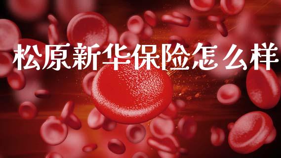 松原新华保险怎么样_https://m.lcpcjs.com_恒指期货保证金_第1张