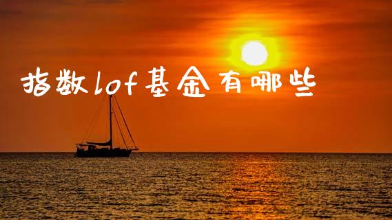 指数lof基金有哪些_https://m.lcpcjs.com_期货交易_第1张
