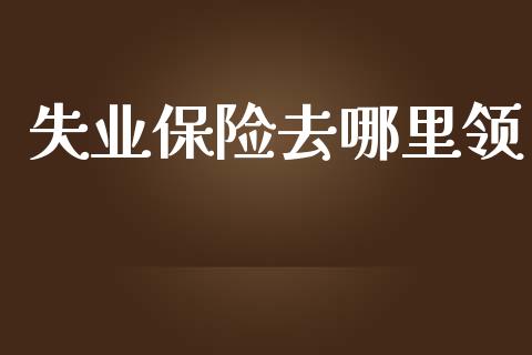 失业保险去哪里领_https://m.lcpcjs.com_白银期货保证金_第1张