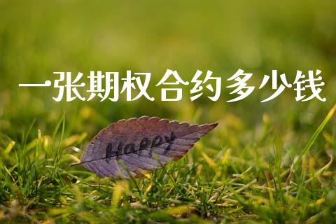 一张期权合约多少钱_https://m.lcpcjs.com_期货交易时间_第1张