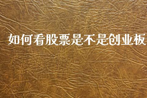 如何看股票是不是创业板_https://m.lcpcjs.com_白银期货保证金_第1张