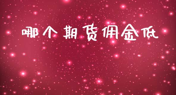 哪个期货佣金低_https://m.lcpcjs.com_白银期货保证金_第1张
