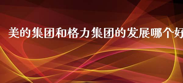 美的集团和格力集团的发展哪个好_https://m.lcpcjs.com_白银期货保证金_第1张