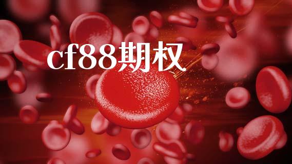 cf88期权_https://m.lcpcjs.com_恒指期货保证金_第1张