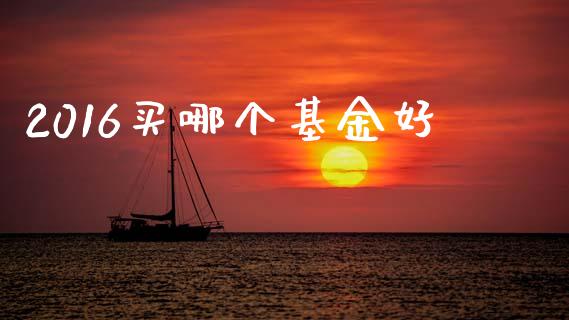 2016买哪个基金好_https://m.lcpcjs.com_期货交易_第1张