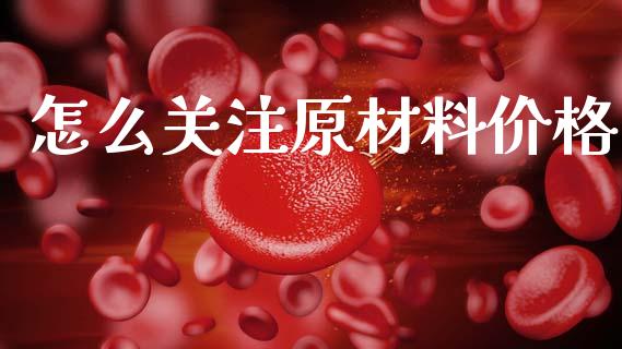 怎么关注原材料价格_https://m.lcpcjs.com_期货交易_第1张