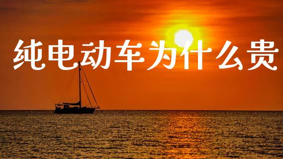 纯电动车为什么贵_https://m.lcpcjs.com_恒指期货保证金_第1张
