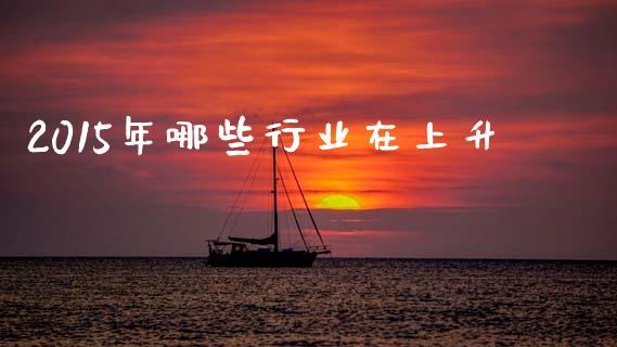 2015年哪些行业在上升_https://m.lcpcjs.com_恒指期货保证金_第1张