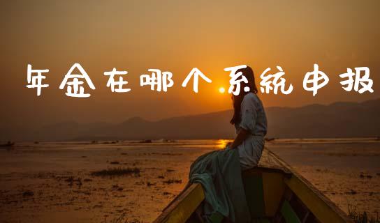 年金在哪个系统申报_https://m.lcpcjs.com_恒指期货保证金_第1张
