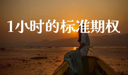 1小时的标准期权_https://m.lcpcjs.com_期货交易_第1张
