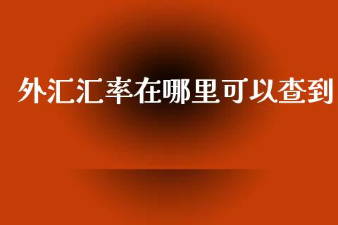 外汇汇率在哪里可以查到_https://m.lcpcjs.com_期货交易_第1张