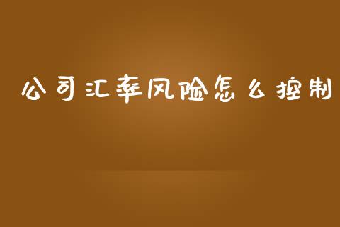 公司汇率风险怎么控制_https://m.lcpcjs.com_期货交易时间_第1张