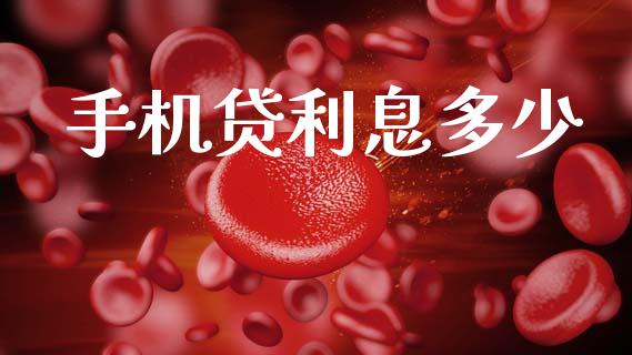 手机贷利息多少_https://m.lcpcjs.com_期货交易_第1张