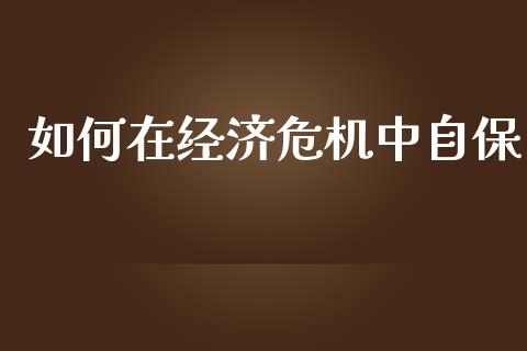 如何在经济危机中自保_https://m.lcpcjs.com_恒指期货保证金_第1张