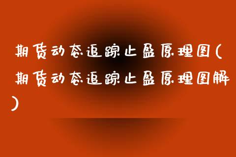 期货动态追踪止盈原理图(期货动态追踪止盈原理图解)_https://m.lcpcjs.com_期货交易_第1张