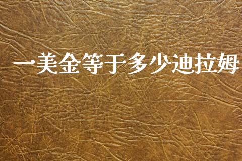 一美金等于多少迪拉姆_https://m.lcpcjs.com_恒指期货保证金_第1张