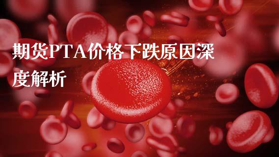 期货PTA价格下跌原因深度解析_https://m.lcpcjs.com_白银期货保证金_第1张
