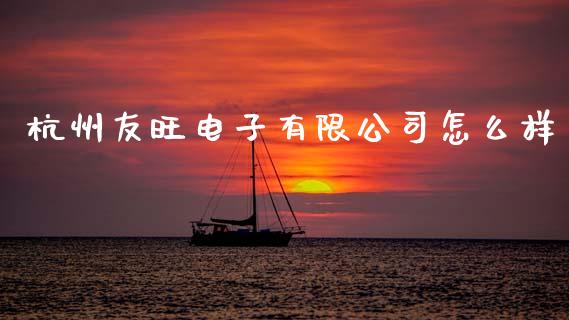 杭州友旺电子有限公司怎么样_https://m.lcpcjs.com_期货交易_第1张