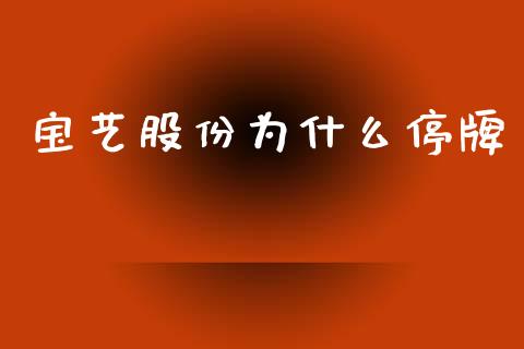 宝艺股份为什么停牌_https://m.lcpcjs.com_恒指期货保证金_第1张