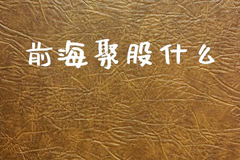 前海聚股什么_https://m.lcpcjs.com_恒指期货保证金_第1张