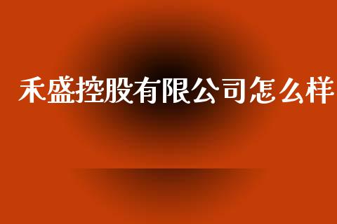 禾盛控股有限公司怎么样_https://m.lcpcjs.com_恒指期货保证金_第1张