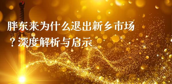 胖东来为什么退出新乡市场？深度解析与启示_https://m.lcpcjs.com_恒指期货保证金_第1张