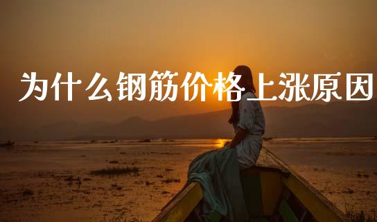 为什么钢筋价格上涨原因_https://m.lcpcjs.com_期货交易时间_第1张