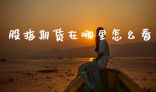 股指期货在哪里怎么看_https://m.lcpcjs.com_期货交易时间_第1张
