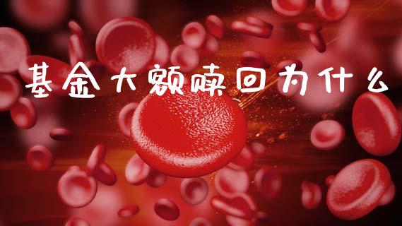 基金大额赎回为什么_https://m.lcpcjs.com_期货交易_第1张