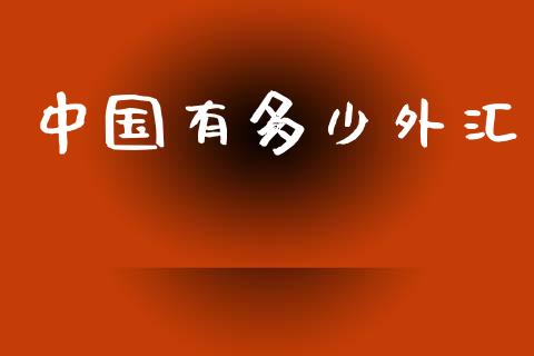 中国有多少外汇_https://m.lcpcjs.com_期货交易时间_第1张
