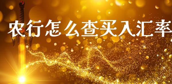 农行怎么查买入汇率_https://m.lcpcjs.com_期货交易_第1张
