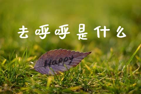 去呼呼是什么_https://m.lcpcjs.com_期货交易时间_第1张