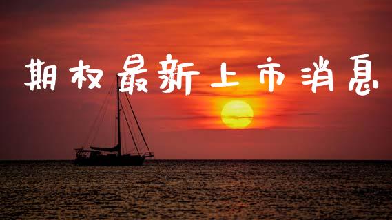 期权最新上市消息_https://m.lcpcjs.com_期货交易_第1张