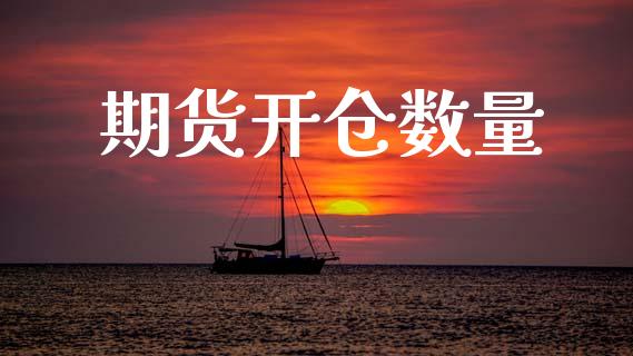 期货开仓数量_https://m.lcpcjs.com_期货交易时间_第1张