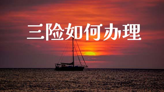 三险如何办理_https://m.lcpcjs.com_期货交易时间_第1张