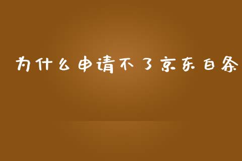 为什么申请不了京东白条_https://m.lcpcjs.com_恒指期货保证金_第1张