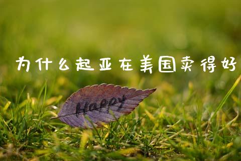 为什么起亚在美国卖得好_https://m.lcpcjs.com_期货交易_第1张